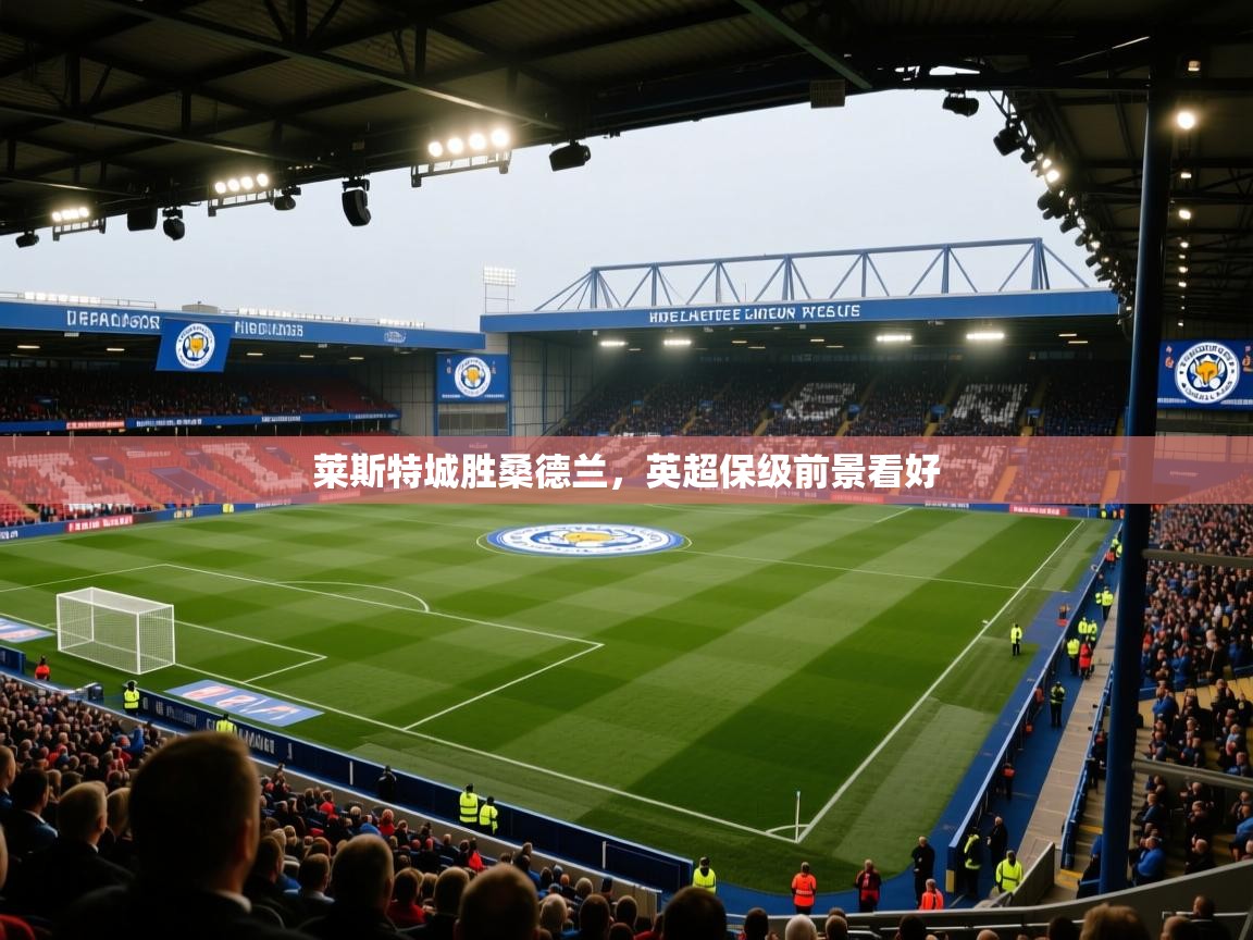 莱斯特城胜桑德兰，英超保级前景看好  第1张