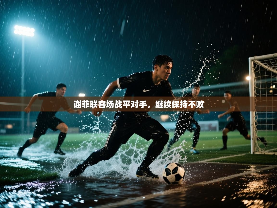 谢菲联客场战平对手，继续保持不败  第1张